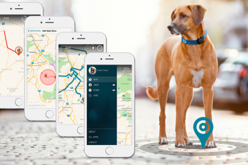 Localizzatore Tractive GPS per Animali